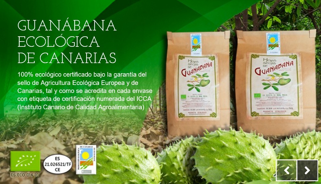 Guanabana-Ecologica-Canarias.jpg