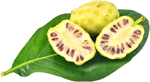 noni_fruta_hoja.png