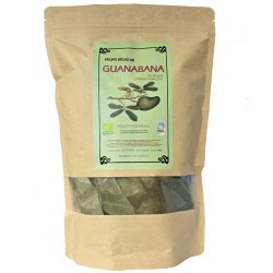 Hojas Guanabana Ecologicas Canarias