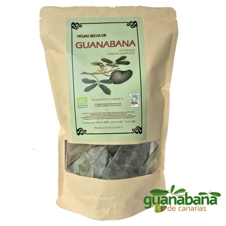 Hojas Guanabana Graviola