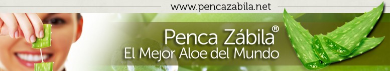  Aloe Vera PENCA ZABILA de Canarias​ · www.PencaZabila.net