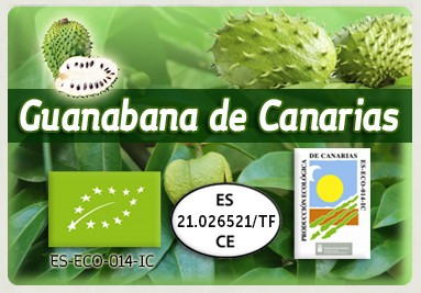 GUANABANA DE CANARIAS